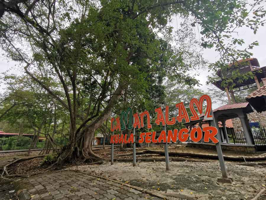 Kuala Selangor Natural Park