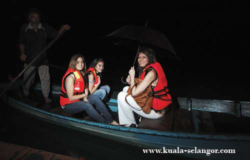 Boat Trip for Firefly at Kampung Kauntan Kuala Sealngor