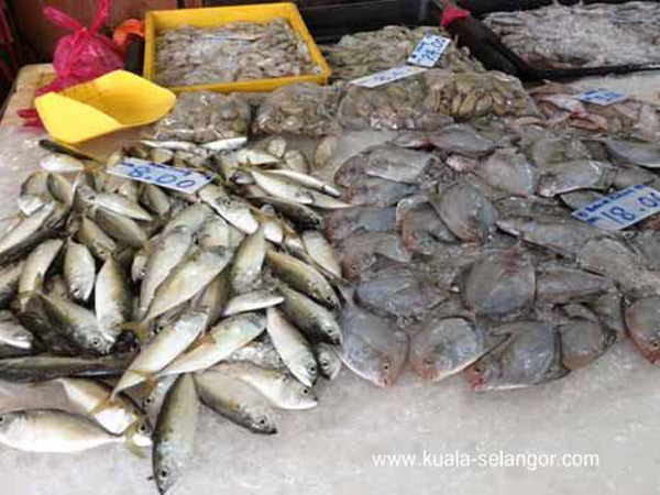 Fresh Seafood is selling in Pasar Basah Pasir Penambang