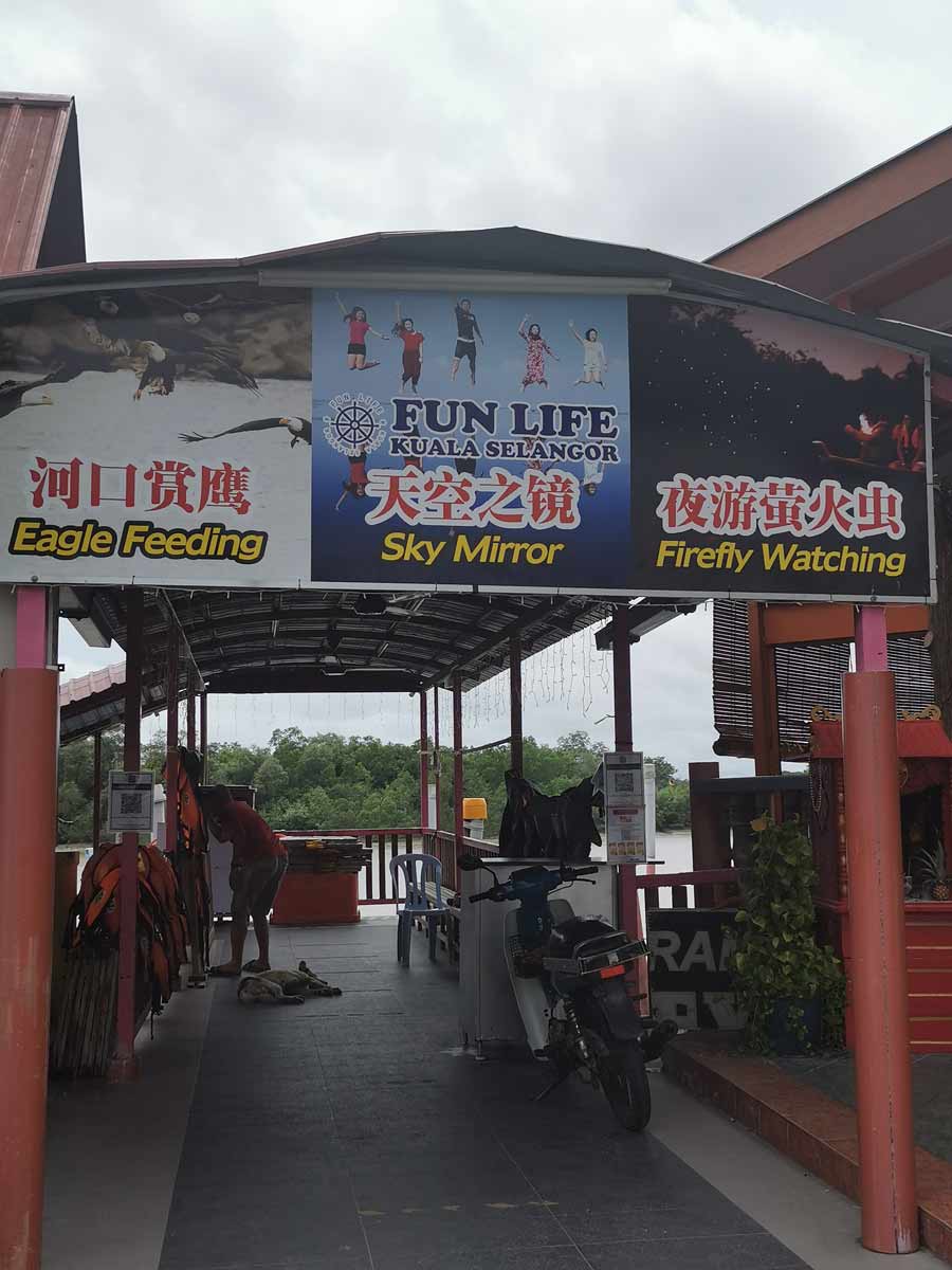 Kuala Selangor Sky Mirror Fun Life Jetty Sky Mirror Tour Blue Tears Tour Firefly Tour And Eagle Feeding Tour